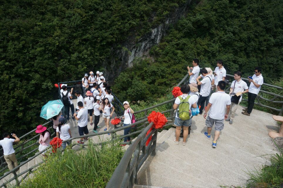 香港码料大全